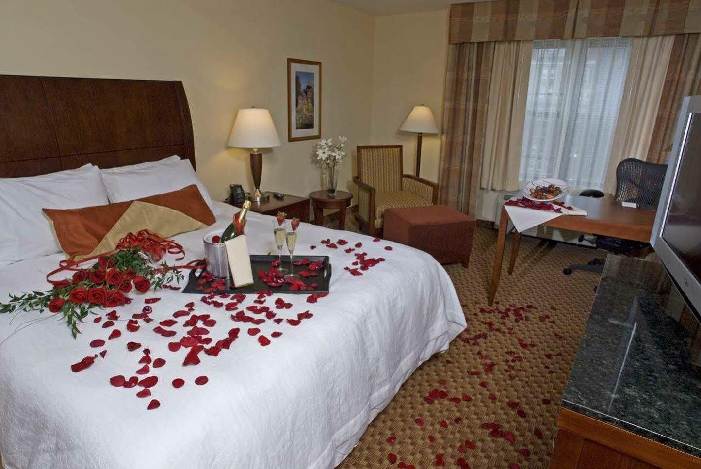 Hilton Garden Inn Albany Medical Center Екстериор снимка